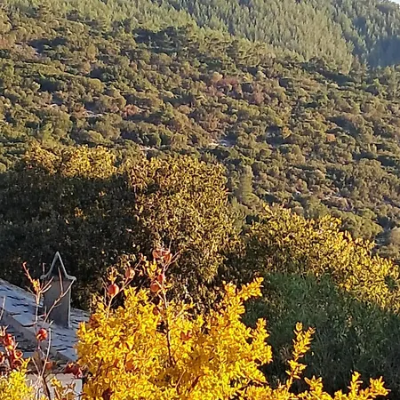 El-mi's Little House In Lägenhet *