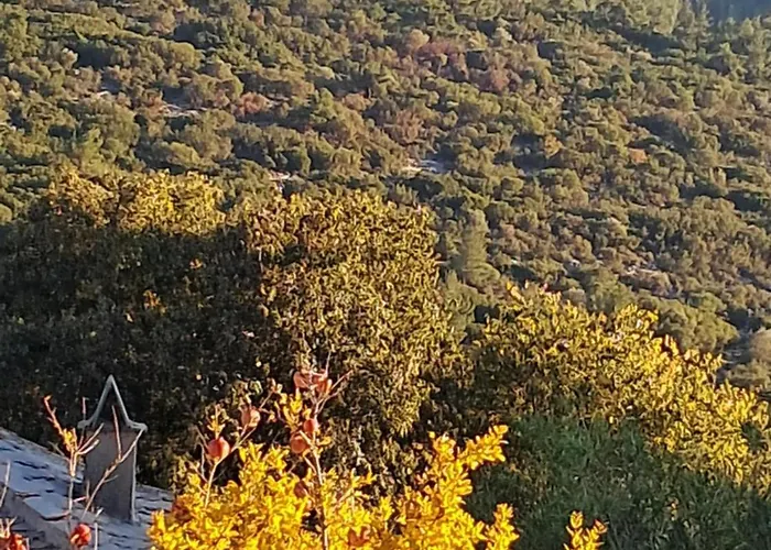 El-mi's Little House In Daire *