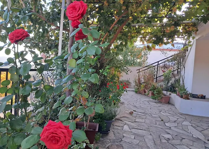 El-mi's Little House In Daire *